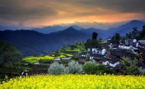 戴三星——胶片上的艺术美