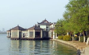 等   你 ——蒲公英