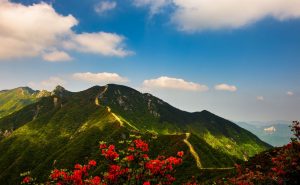 我是一片云/蔓草（黄会容）