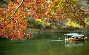 高金镶 l 题牡丹图（5首）