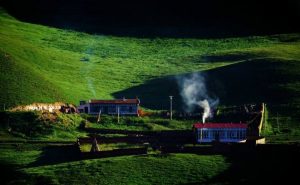 鸟和云/文/蔓草