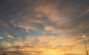 眺望特拉华的秋——国际诗词协会美国分会会长马梦瑶