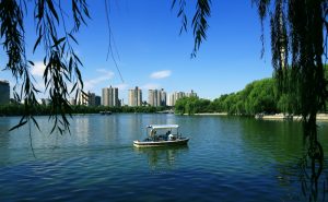 洞中访友     作者：蒲公英