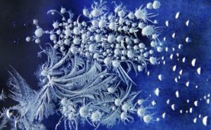 新入会员作品：冬之韵—冰窗花之约II崔双莲