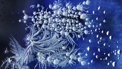 新入会员作品:冬之韵—冰窗花之约II崔双莲