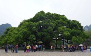 “井冈山杯”《中国最美游记》入围作品：七排·昆仑II谭洪林/吉林省