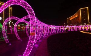 爱有天意  作者：蒲公英