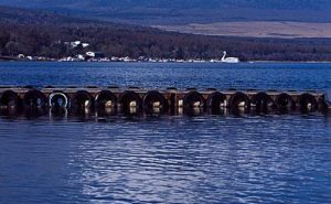 “井冈山杯”《中国最美游记》入围作品： 天鹅山的歌II张家喜（湖南）