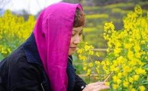 “井冈山杯”《中国最美游记》入围作品：盲 人 旅 游II王海平(河北)