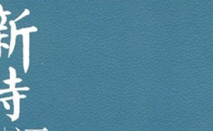 中国新诗百年回顾与反思