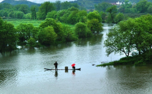 国际诗词协会新入会员作品 I 程延庆​(江西省)