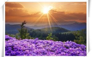 冬日里的阳光 II 陆配配(安徽池州)