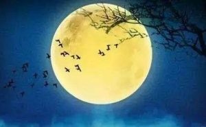 月    殇——元宵之夜，我跟着月亮一起流泪 II 冰 耘