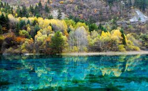 “遵义杯”第五届《中国最美游记》入围作品：梦情九寨（赵咏雪）