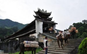 “遵义杯”第五届《中国最美游记》入围作品：旅 游 日 记II陈国清II四川省