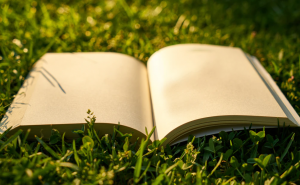 中国作家协会第九届主席团第七次会议决议